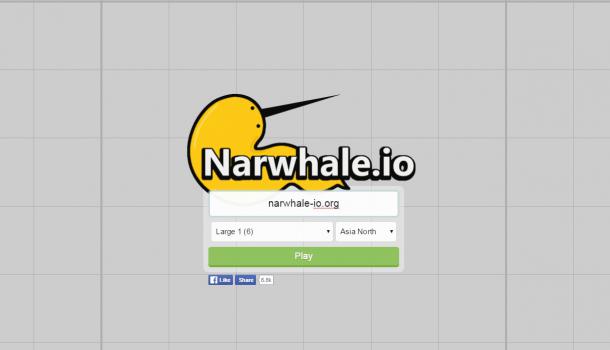 narwhale-io